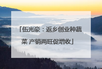 伍光豪：返乡创业种蔬菜 产销两旺促增收
