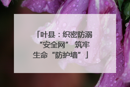 叶县：织密防溺“安全网” 筑牢生命“防护墙”