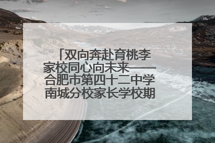 双向奔赴育桃李 家校同心向未来——合肥市第四十二中学南城分校家长学校期末总结会圆满召开