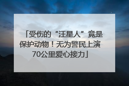 受伤的“汪星人”竟是保护动物！无为警民上演70公里爱心接力