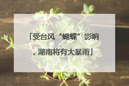 受台风“蝴蝶”影响，湖南将有大暴雨