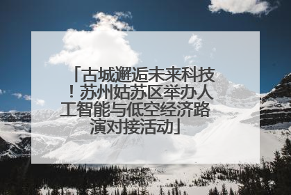 古城邂逅未来科技！苏州姑苏区举办人工智能与低空经济路演对接活动