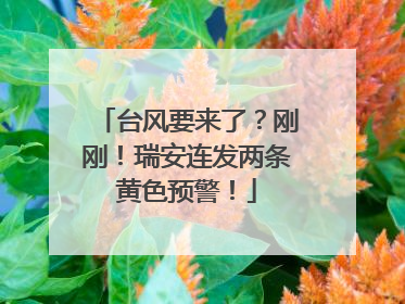台风要来了？刚刚！瑞安连发两条黄色预警！