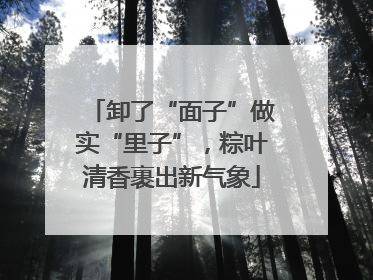 卸了“面子”做实“里子”，粽叶清香裹出新气象