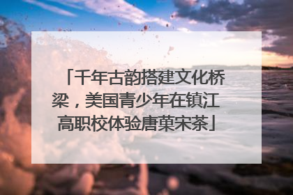千年古韵搭建文化桥梁，美国青少年在镇江高职校体验唐菓宋茶