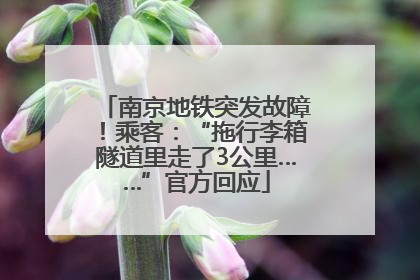 南京地铁突发故障！乘客：“拖行李箱隧道里走了3公里……”官方回应