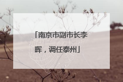 南京市副市长李晖，调任泰州
