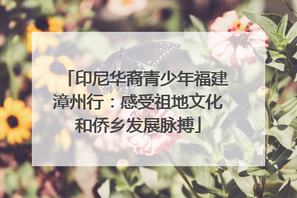 印尼华裔青少年福建漳州行：感受祖地文化和侨乡发展脉搏