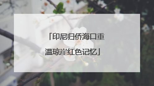 印尼归侨海口重温琼崖红色记忆