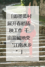 即墨蓝村展开春稻插秧工作 千亩盐碱地变“江南水乡”
