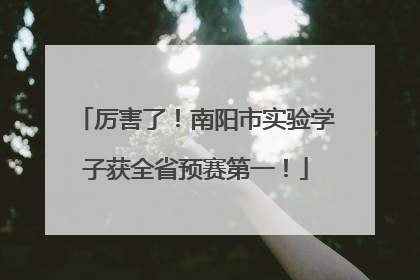 厉害了！南阳市实验学子获全省预赛第一！