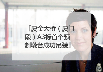 厦金大桥（厦门段）A3标首个预制墩台成功吊装