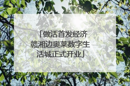 做活首发经济 赣湘边奥莱数字生活城正式开业