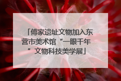 傅家遗址文物加入东营市美术馆“一眼千年”文物科技美学展