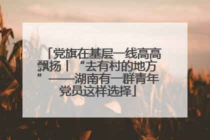 党旗在基层一线高高飘扬丨“去有村的地方”——湖南有一群青年党员这样选择