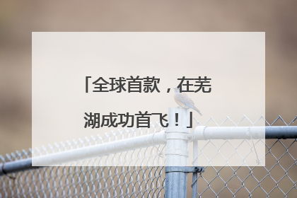 全球首款，在芜湖成功首飞！