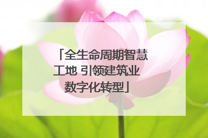 全生命周期智慧工地 引领建筑业数字化转型