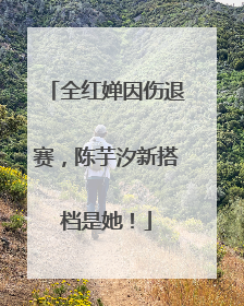全红婵因伤退赛，陈芋汐新搭档是她！