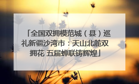 全国双拥模范城（县）巡礼新疆沙湾市：天山北麓双拥花 五届蝉联铸辉煌