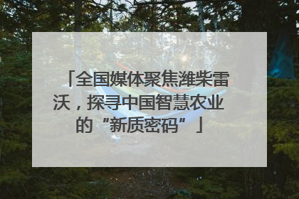 全国媒体聚焦潍柴雷沃，探寻中国智慧农业的“新质密码”