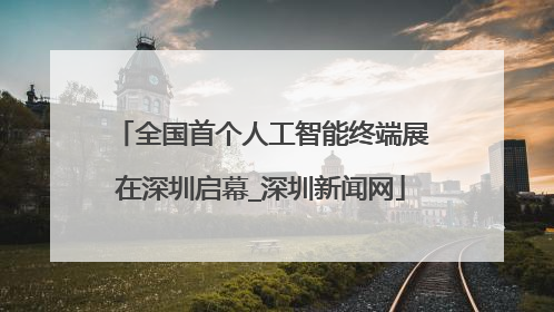 全国首个人工智能终端展在深圳启幕_深圳新闻网