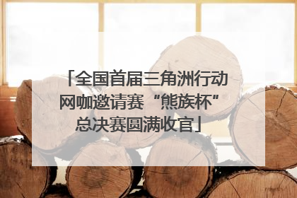 全国首届三角洲行动网咖邀请赛“熊族杯”总决赛圆满收官