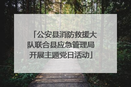公安县消防救援大队联合县应急管理局开展主题党日活动