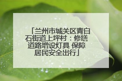 兰州市城关区青白石街道上坪村：修缮道路增设灯具 保障居民安全出行