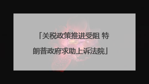 关税政策推进受阻 特朗普政府求助上诉法院