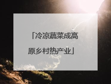 冷凉蔬菜成高原乡村热产业