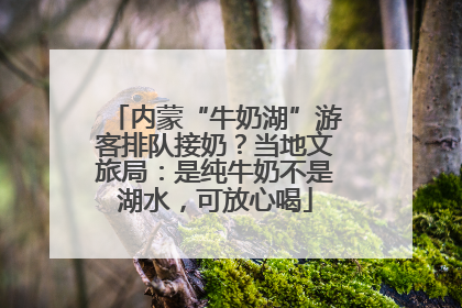 内蒙“牛奶湖”游客排队接奶？当地文旅局：是纯牛奶不是湖水，可放心喝