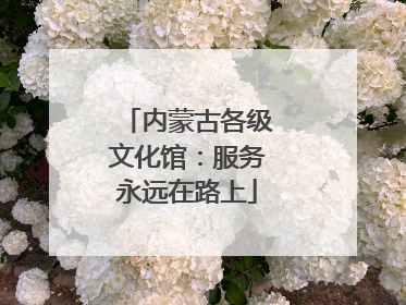 内蒙古各级文化馆：服务永远在路上