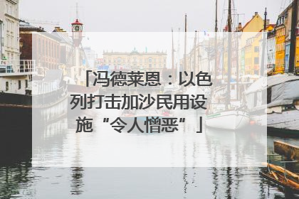 冯德莱恩：以色列打击加沙民用设施“令人憎恶”