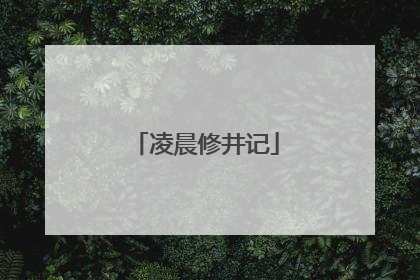 凌晨修井记