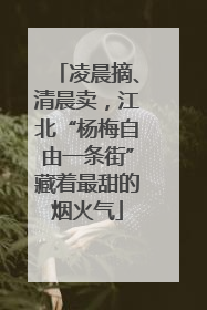 凌晨摘、清晨卖，江北“杨梅自由一条街”藏着最甜的烟火气