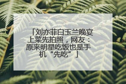 刘亦菲白玉兰晚宴上菜先拍照，网友：原来明星吃饭也是手机“先吃”