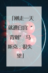 刚走一天就遭白宫“背刺” 马斯克：很失望