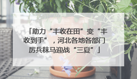 助力“丰收在田”变“丰收到手”，河北各地各部门厉兵秣马迎战“三夏”