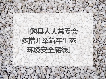 勉县人大常委会多措并举筑牢生态环境安全底线