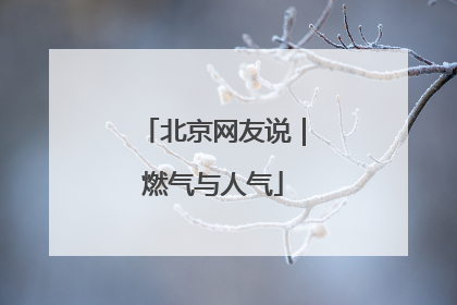 北京网友说｜燃气与人气