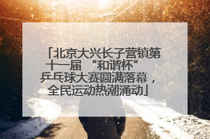 北京大兴长子营镇第十一届 “和谐杯” 乒乓球大赛圆满落幕，全民运动热潮涌动