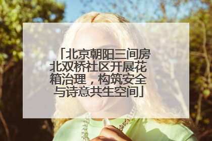 北京朝阳三间房北双桥社区开展花箱治理，构筑安全与诗意共生空间