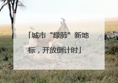 城市“绿肺”新地标，开放倒计时
