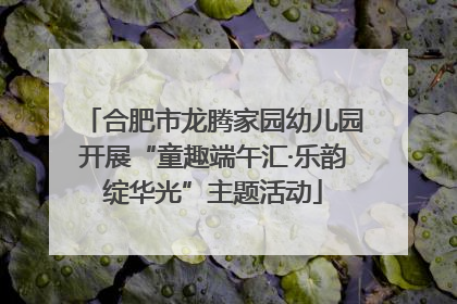 合肥市龙腾家园幼儿园开展“童趣端午汇·乐韵绽华光”主题活动