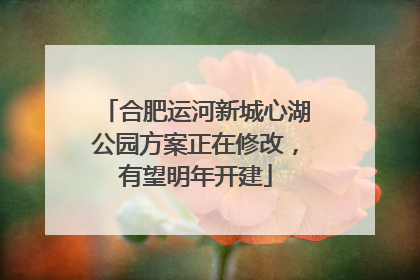 合肥运河新城心湖公园方案正在修改，有望明年开建