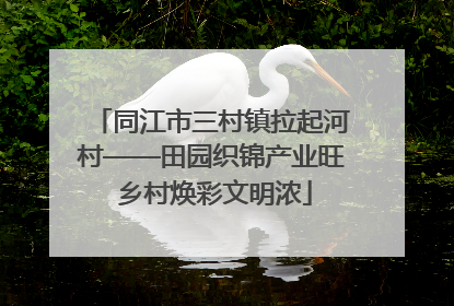同江市三村镇拉起河村——田园织锦产业旺 乡村焕彩文明浓