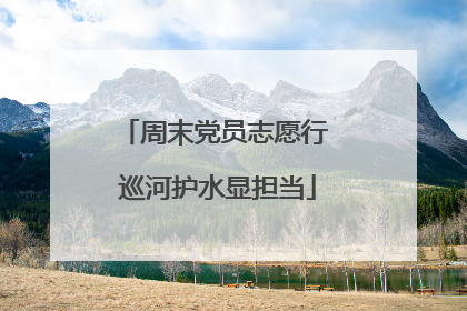 周末党员志愿行 巡河护水显担当