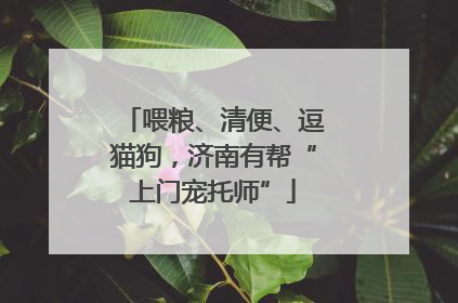 喂粮、清便、逗猫狗，济南有帮“上门宠托师”