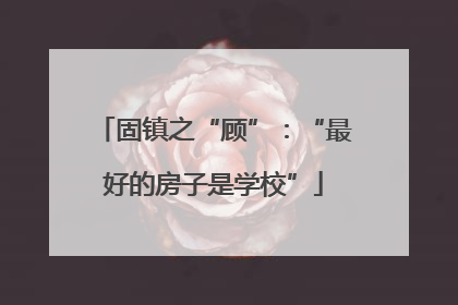 固镇之“顾”：“最好的房子是学校”