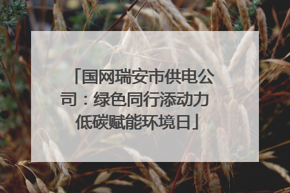 国网瑞安市供电公司：绿色同行添动力 低碳赋能环境日